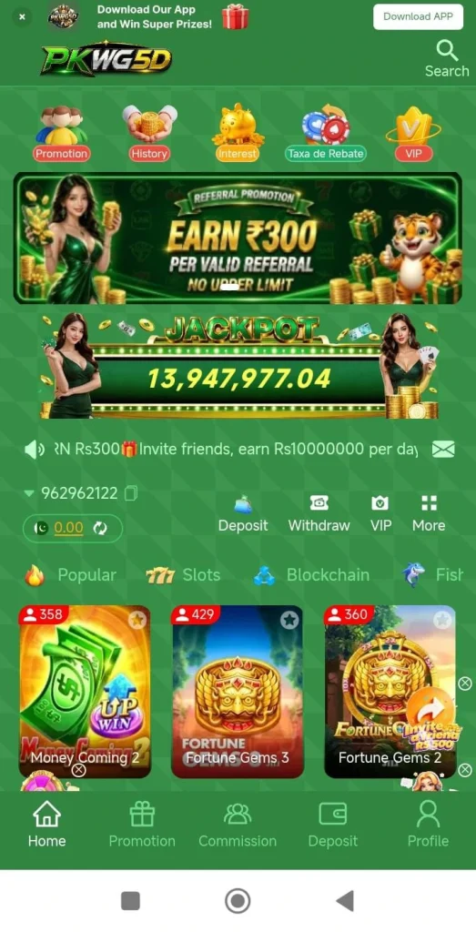 PKWG5D Game