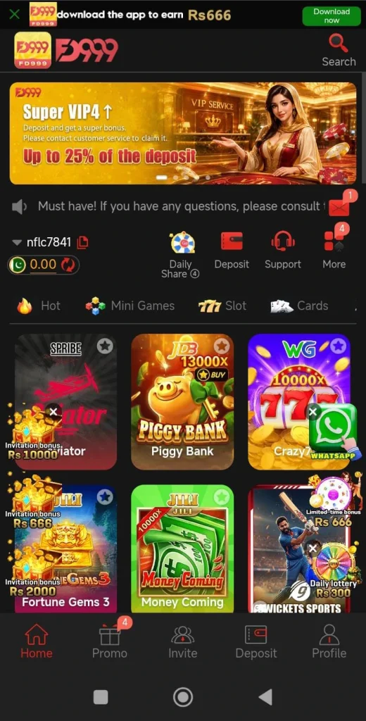 FD999 Game